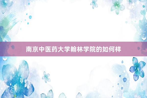 南京中医药大学翰林学院的如何样